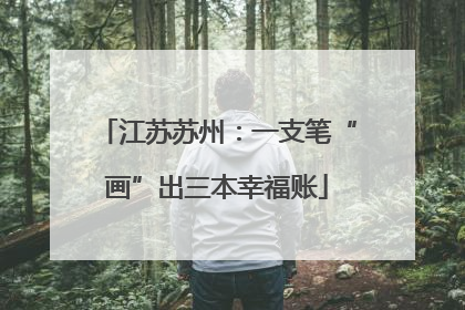 江苏苏州：一支笔“画”出三本幸福账