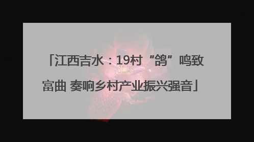 江西吉水：19村“鸽”鸣致富曲 奏响乡村产业振兴强音
