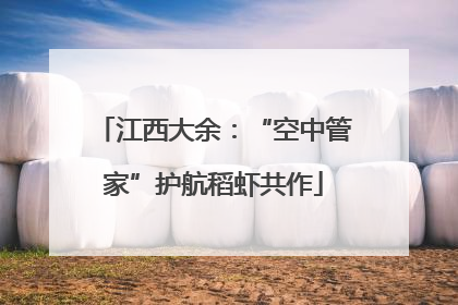 江西大余：“空中管家”护航稻虾共作