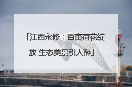 江西永修：百亩荷花绽放 生态美景引人醉