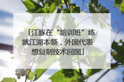 江豚在“培训班”练就江湖本领，外国代表想复制技术回国
