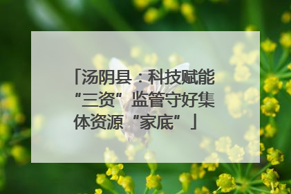 汤阴县：科技赋能“三资”监管守好集体资源“家底”