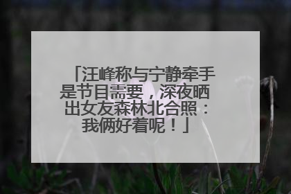 汪峰称与宁静牵手是节目需要，深夜晒出女友森林北合照：我俩好着呢！
