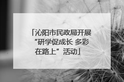 沁阳市民政局开展“研学促成长 多彩在路上”活动