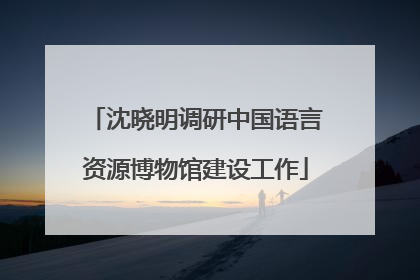 沈晓明调研中国语言资源博物馆建设工作