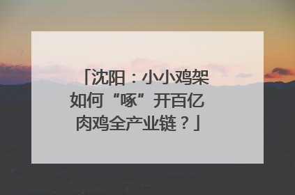 沈阳：小小鸡架如何“啄”开百亿肉鸡全产业链？