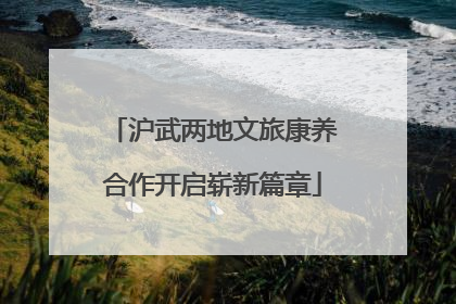 沪武两地文旅康养合作开启崭新篇章