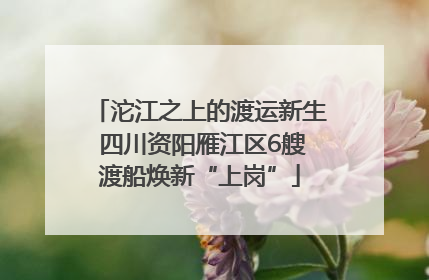 沱江之上的渡运新生 四川资阳雁江区6艘渡船焕新“上岗”