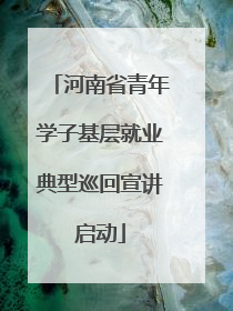 河南省青年学子基层就业典型巡回宣讲启动