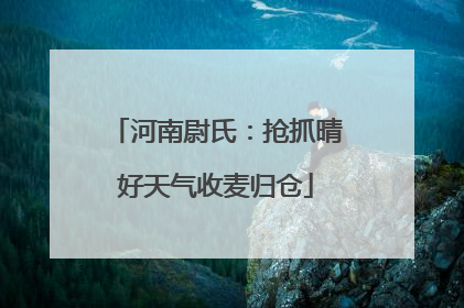 河南尉氏：抢抓晴好天气收麦归仓