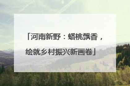 河南新野：蟠桃飘香，绘就乡村振兴新画卷