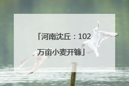 河南沈丘：102 万亩小麦开镰