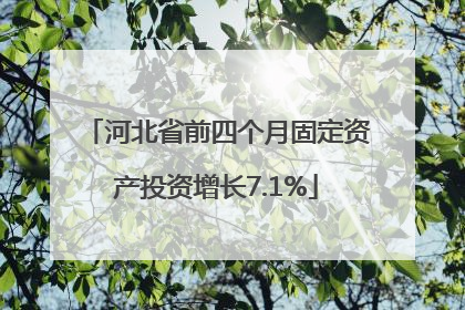 河北省前四个月固定资产投资增长7.1%