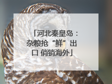 河北秦皇岛：杂粮抢“鲜”出口 俏销海外