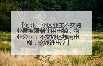 河北一小区业主不交物业费被限制使用电梯，物业公司：不交钱还想用电梯，这钱谁出？