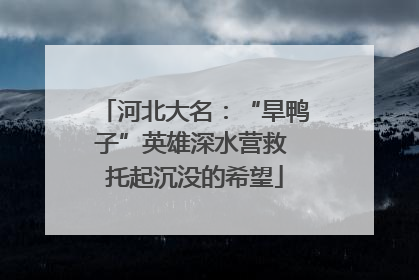河北大名：“旱鸭子”英雄深水营救 托起沉没的希望