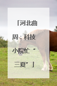 河北曲周：科技小院忙“三夏”