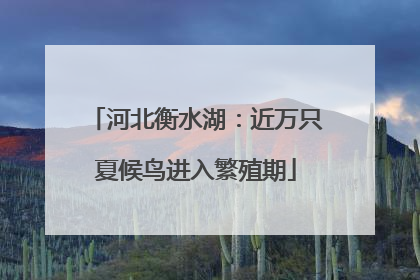 河北衡水湖：近万只夏候鸟进入繁殖期