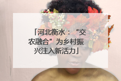 河北衡水：“交农融合”为乡村振兴注入新活力