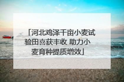 河北鸡泽千亩小麦试验田喜获丰收 助力小麦育种提质增效