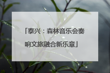 泰兴：森林音乐会奏响文旅融合新乐章