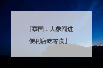 泰国：大象闯进便利店吃零食