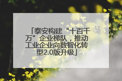 泰安构建“十百千万”企业梯队，推动工业企业向数智化转型2.0版升级