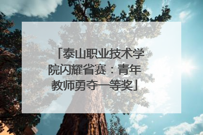 泰山职业技术学院闪耀省赛：青年教师勇夺一等奖
