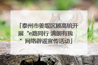 泰州市姜堰区顾高镇开展“e路同行 清朗有我”网络辟谣宣传活动