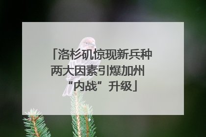 洛杉矶惊现新兵种 两大因素引爆加州“内战”升级