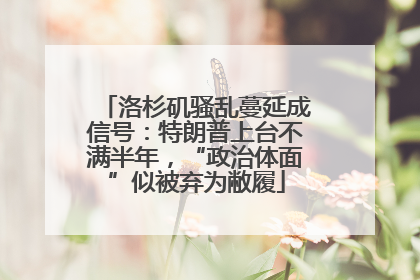 洛杉矶骚乱蔓延成信号：特朗普上台不满半年，“政治体面”似被弃为敝履
