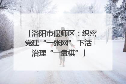 洛阳市偃师区：织密党建“一张网” 下活治理“一盘棋”