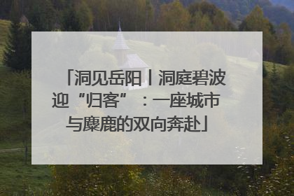 洞见岳阳丨洞庭碧波迎“归客”：一座城市与麋鹿的双向奔赴