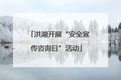 洪湖开展“安全宣传咨询日”活动
