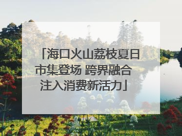 海口火山荔枝夏日市集登场 跨界融合注入消费新活力