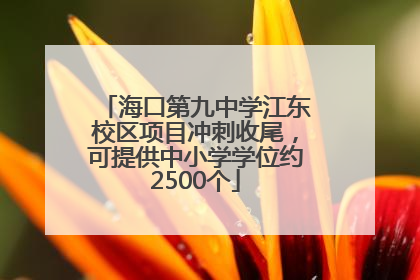 海口第九中学江东校区项目冲刺收尾，可提供中小学学位约2500个