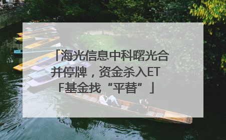 海光信息中科曙光合并停牌，资金杀入ETF基金找“平替”