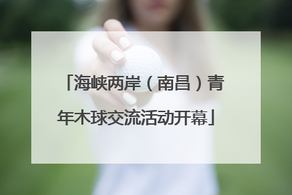 海峡两岸（南昌）青年木球交流活动开幕