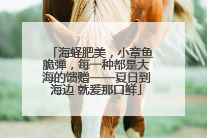 海蛏肥美，小章鱼脆弹，每一种都是大海的馈赠——夏日到海边 就爱那口鲜