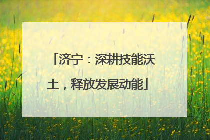济宁：深耕技能沃土，释放发展动能