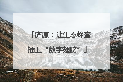 济源：让生态蜂蜜插上“数字翅膀”