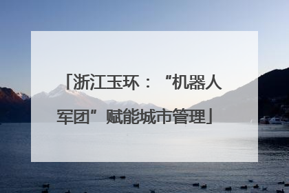浙江玉环：“机器人军团”赋能城市管理