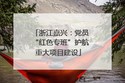浙江嘉兴：党员“红色专班”护航重大项目建设