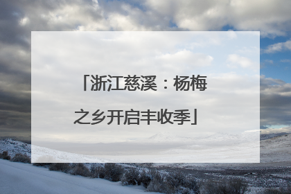 浙江慈溪：杨梅之乡开启丰收季