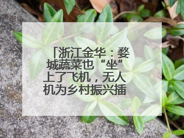 浙江金华：婺城蔬菜也“坐”上了飞机，无人机为乡村振兴插上“翅膀”