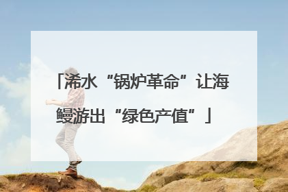 浠水“锅炉革命”让海鳗游出“绿色产值”