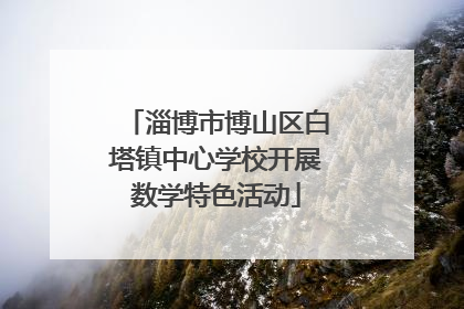 淄博市博山区白塔镇中心学校开展数学特色活动