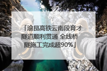 渝昆高铁云南段育才隧道顺利贯通 全线桥隧施工完成超90%