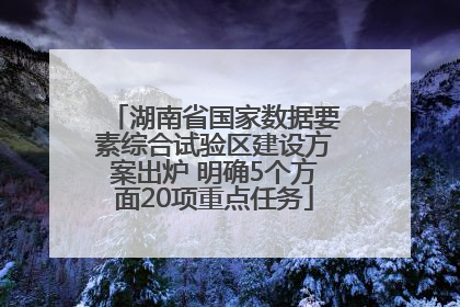 湖南省国家数据要素综合试验区建设方案出炉 明确5个方面20项重点任务