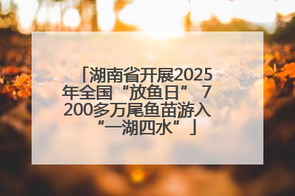 湖南省开展2025年全国“放鱼日” 7200多万尾鱼苗游入“一湖四水”